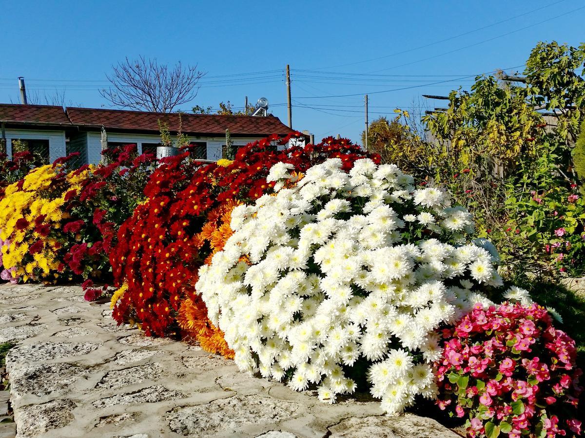 Kosta Bungalows Bŭlgarevo 外观 照片